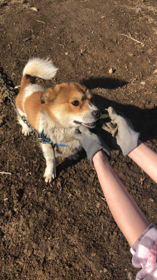 쑥님이 올린 리뷰 사진 3