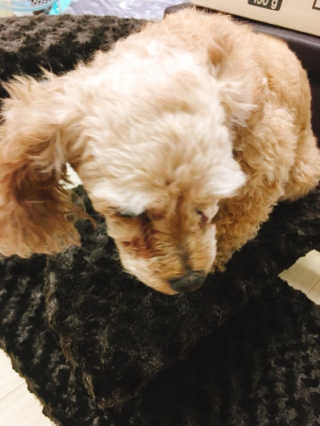 랑이님이 올린 리뷰 사진 3