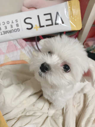 새초미님이 올린 리뷰 사진 1