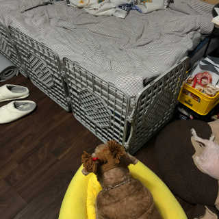 은지짱님이 올린 리뷰 사진 1