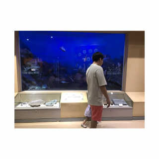 vmintv님이 올린 리뷰 사진 2