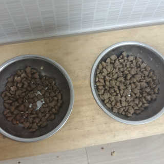 93gooduwo님이 올린 리뷰 사진 3
