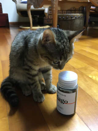 효티님이 올린 리뷰 사진 3