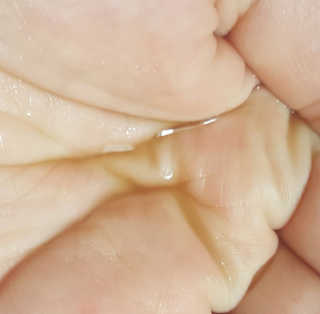 리아님이 올린 리뷰 사진 2