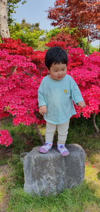 지니월드님이 올린 리뷰 사진 2