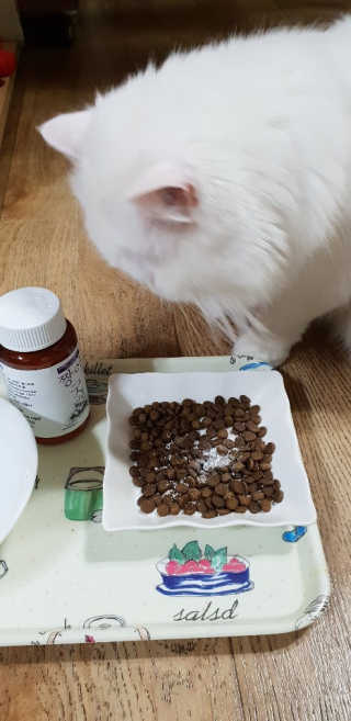 영니님이 올린 리뷰 사진 2
