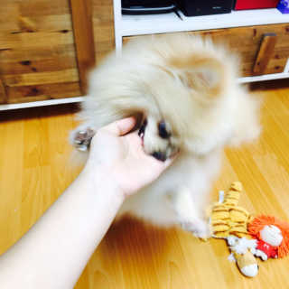 져니님이 올린 리뷰 사진 2