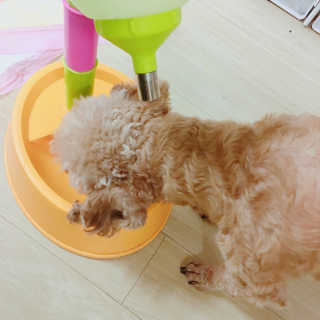 랑이님이 올린 리뷰 사진 3