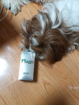 하나님이 올린 리뷰 사진 2