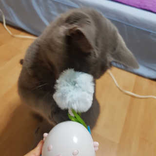쿠로님이 올린 리뷰 사진 3