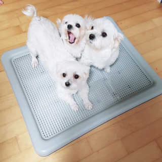 배융빵님이 올린 리뷰 사진 1