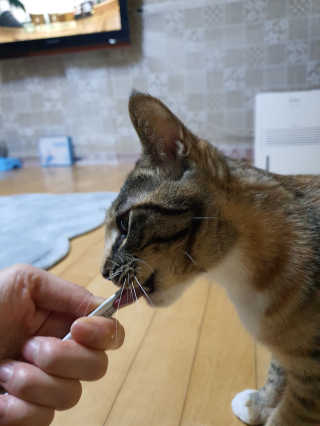 gajete님이 올린 리뷰 사진 4