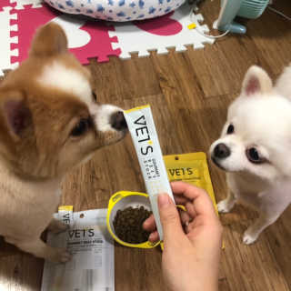 베츠 고메스톡 2종 강아지츄르 사료, 물 전용토핑육수 — 4.5점을 준 리뷰어가 2019년 7월 올린 사용 사진