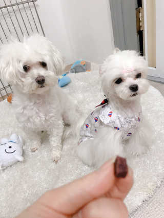 만듀모찌님이 올린 리뷰 사진 4