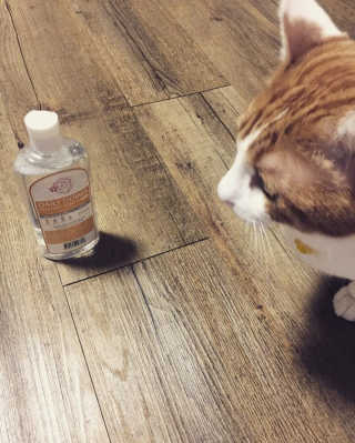 미밍님이 올린 리뷰 사진 1