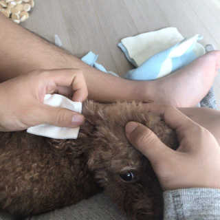 젤로님이 올린 리뷰 사진 3