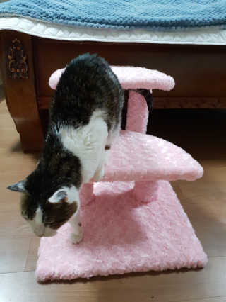 루잉루잉님이 올린 리뷰 사진 3