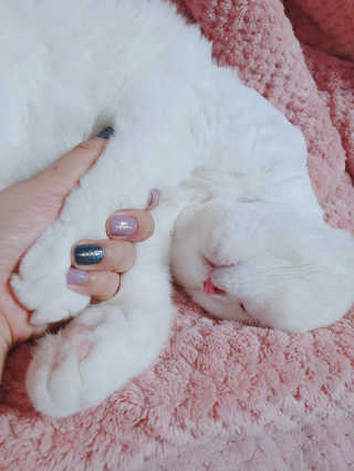 좋아님이 올린 리뷰 사진 1