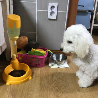 하루한첩 반려동물 한방영양제 장튼튼 7days — 4.17점을 준 리뷰어가 2018년 1월 올린 사용 사진