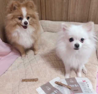 영블리님이 올린 리뷰 사진 2