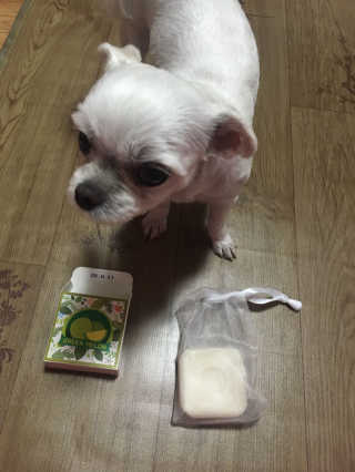 미나리님이 올린 리뷰 사진 2