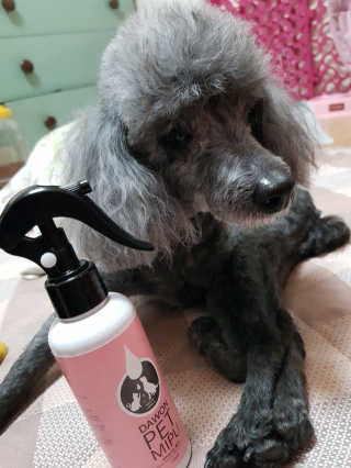 럭키님이 올린 리뷰 사진 2