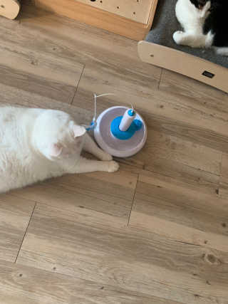 정선님이 올린 리뷰 사진 2