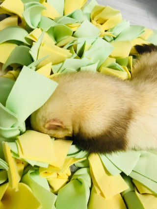 이소현님이 올린 리뷰 사진 3