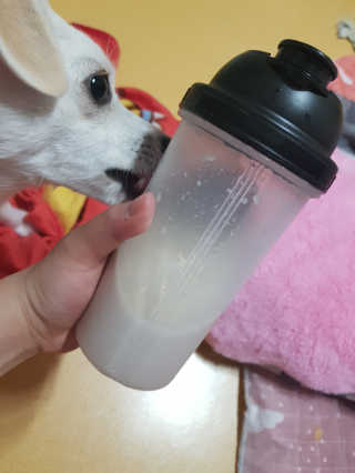 조은영님이 올린 리뷰 사진 3