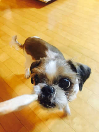김주희님이 올린 리뷰 사진 2