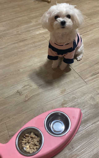 junny님이 올린 리뷰 사진 1