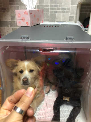 모찌님이 올린 리뷰 사진 3