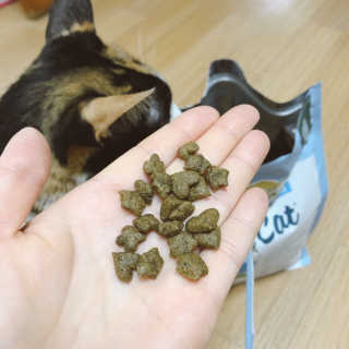아꽁님이 올린 리뷰 사진 2