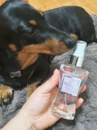 레드컨테이너 페로몬향 퍼퓸 바디미스트 80ml — 5점을 준 리뷰어가 2020년 2월 올린 사용 사진