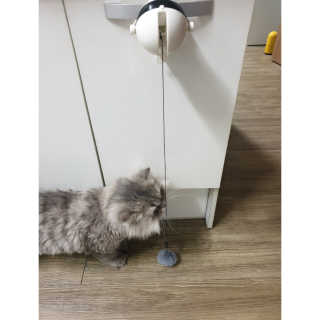또잘꺼야님이 올린 리뷰 사진 1