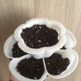 Ghhryh님이 올린 리뷰 사진 1