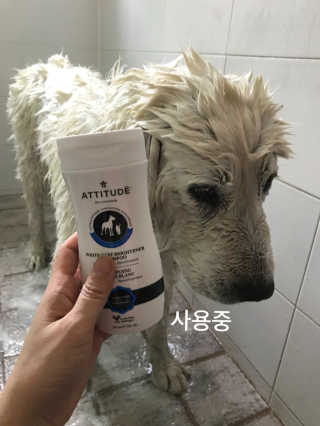 조언니님이 올린 리뷰 사진 3