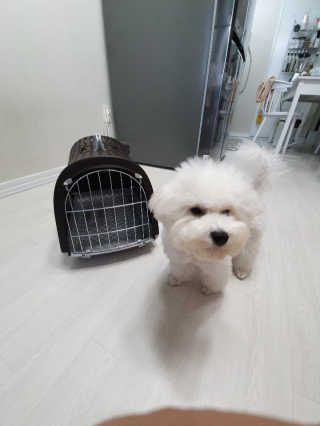 GiWonSong님이 올린 리뷰 사진 1