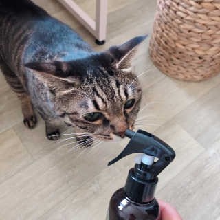 softbom님이 올린 리뷰 사진 1