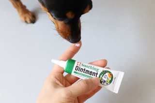 티아레님이 올린 리뷰 사진 2