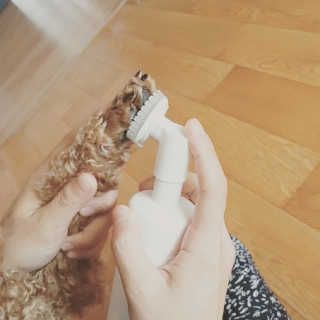 포포님이 올린 리뷰 사진 1