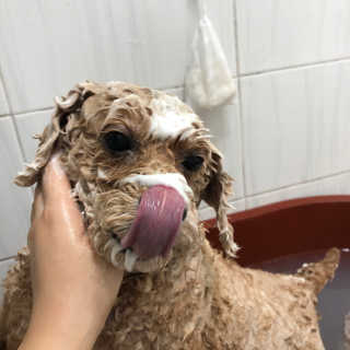 은지짱님이 올린 리뷰 사진 3