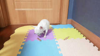 이선영님이 올린 리뷰 사진 2