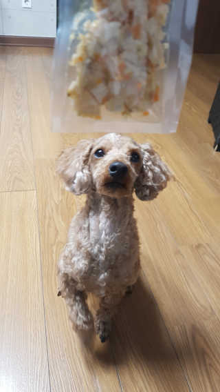 삐삐맘님이 올린 리뷰 사진 1