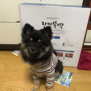 정아님이 올린 리뷰 사진 1