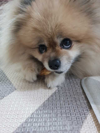 레고사줘님이 올린 리뷰 사진 4