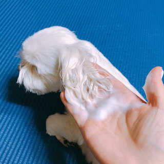 김부건님이 올린 리뷰 사진 3