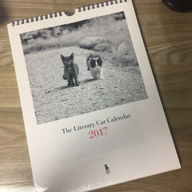 2017 고양이 위클리 캘린더 리뷰 사진