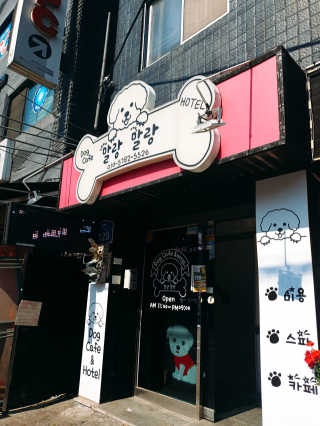 꼬몽쓰님이 올린 리뷰 사진 3