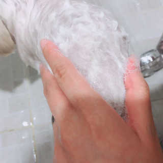 VV님이 올린 리뷰 사진 2